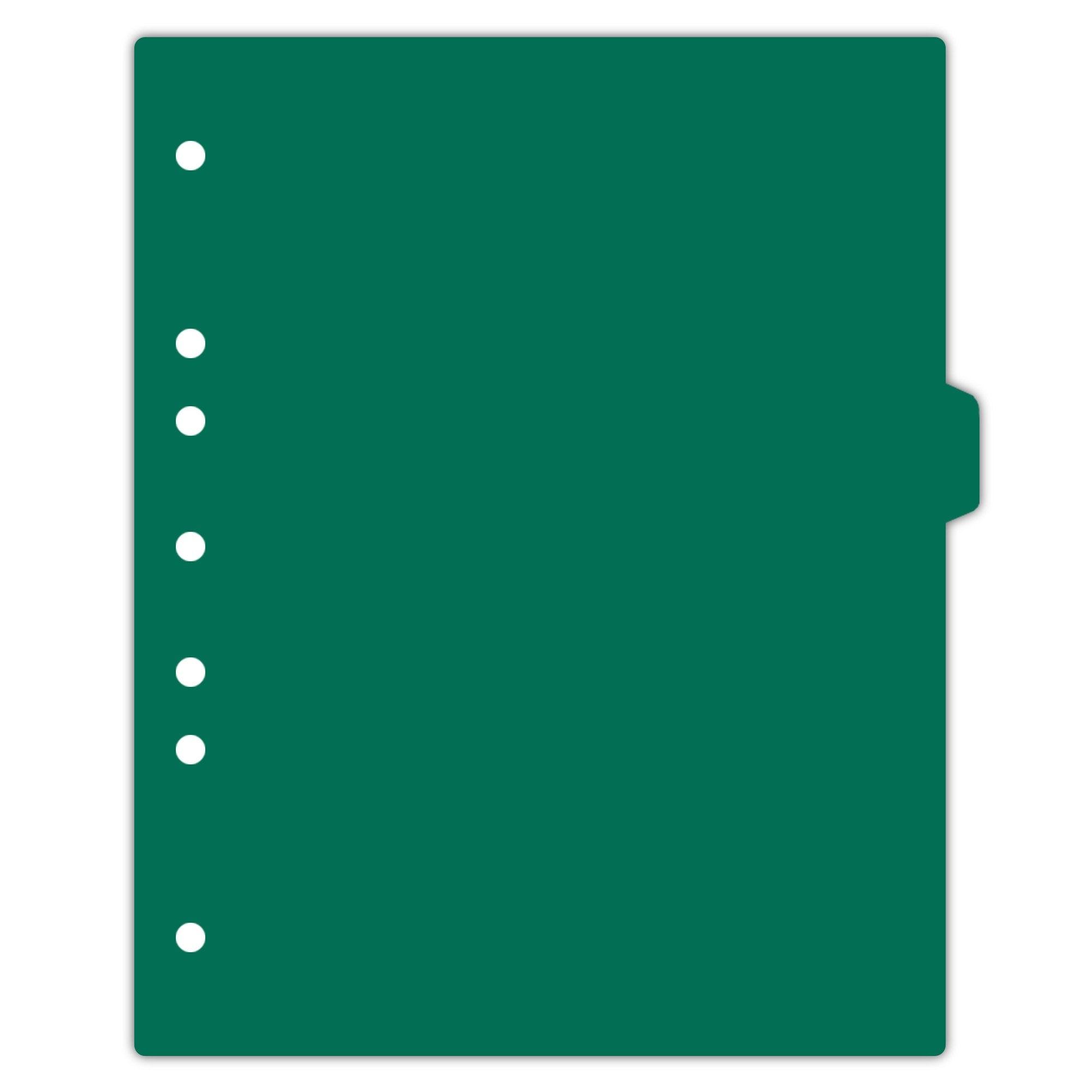 Heavy Duty Blank Plastic Ring Binder Divider Tabs, Side Tab, 1/9 Cut