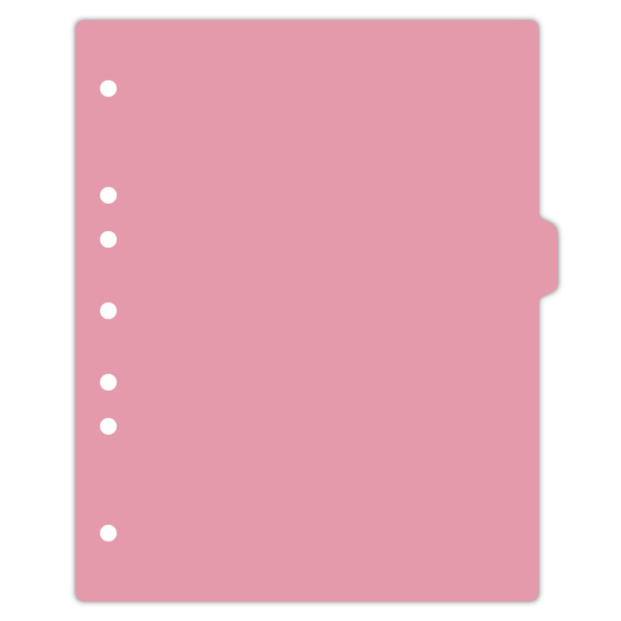 Heavy Duty Blank Plastic Ring Binder Divider Tabs, Side Tab, 1/9 Cut