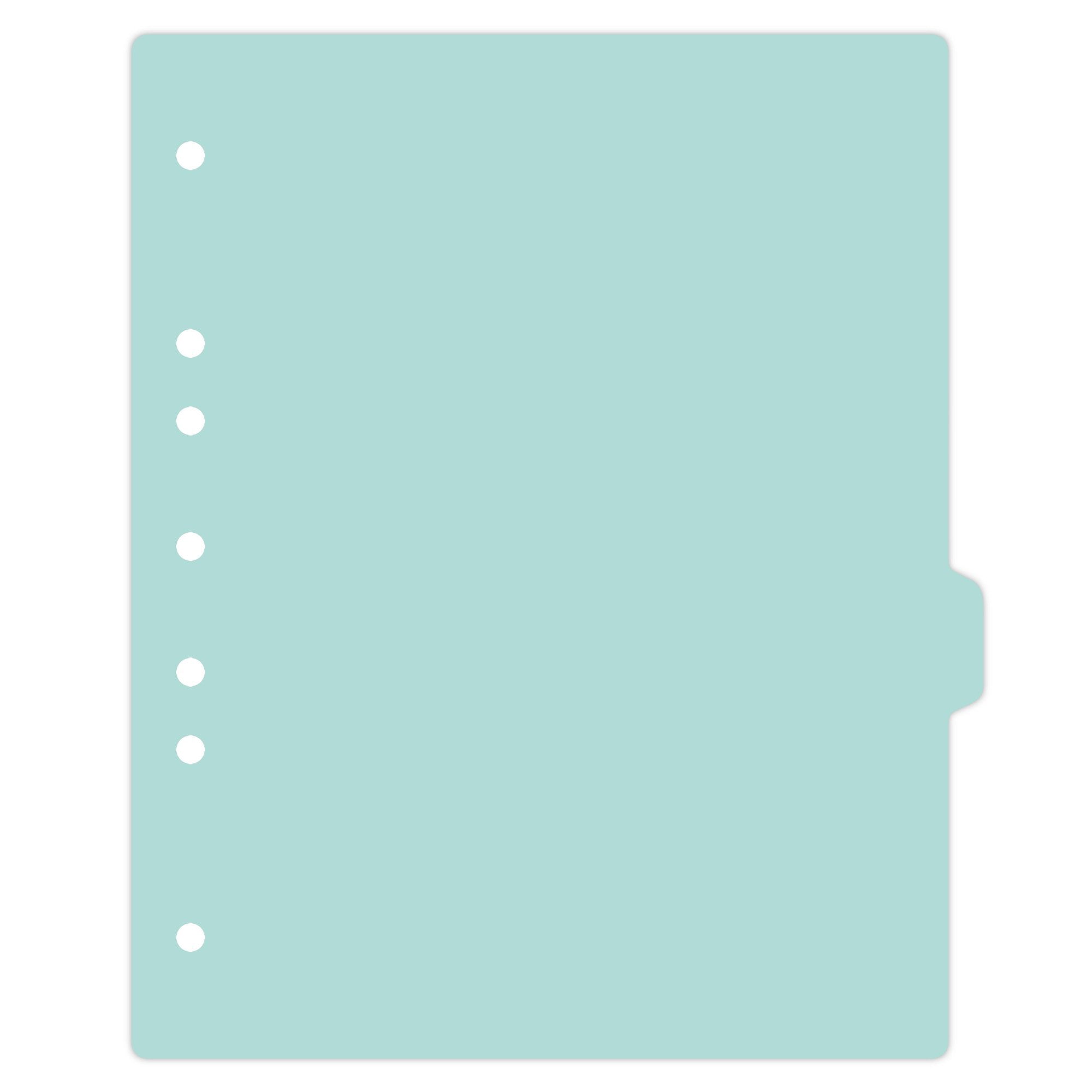 Heavy Duty Blank Plastic Ring Binder Divider Tabs, Side Tab, 1/9 Cut