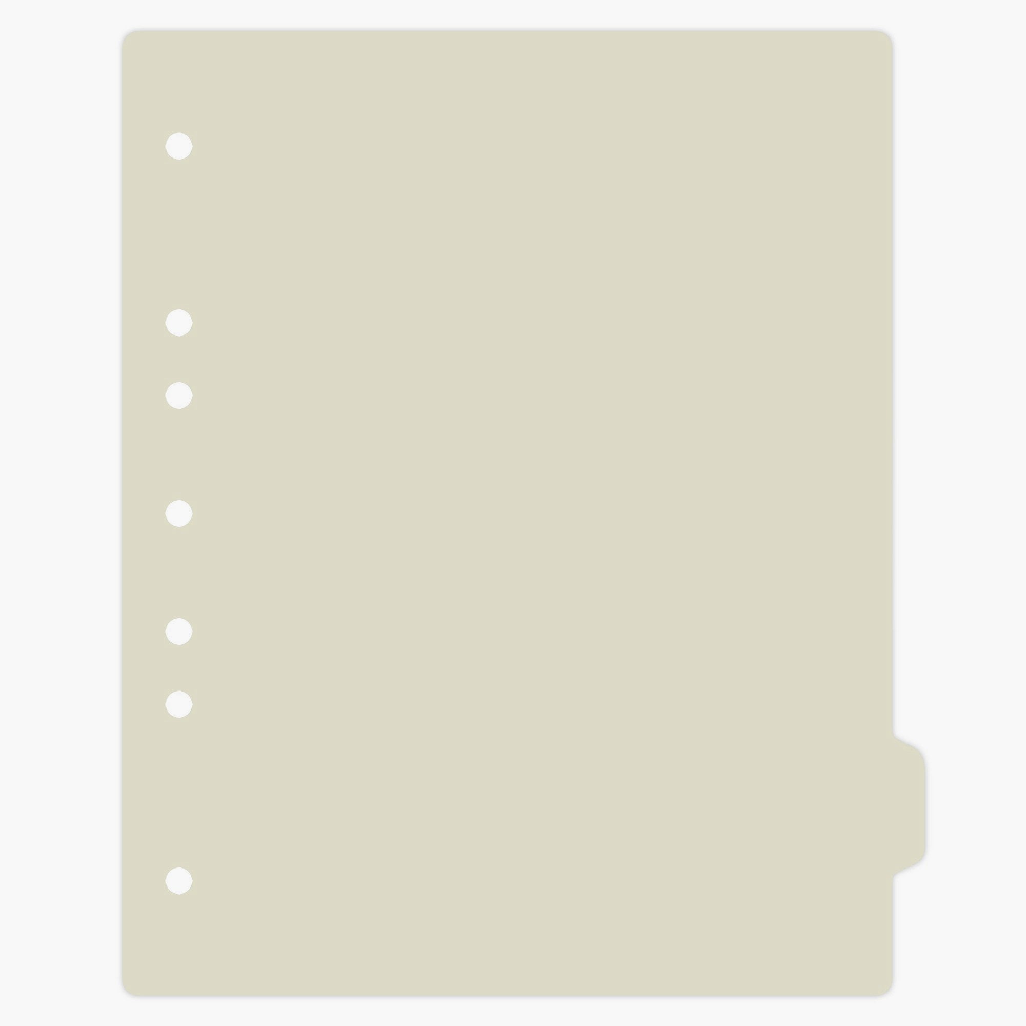 Heavy Duty Blank Plastic Ring Binder Divider Tabs, Side Tab, 1/9 Cut