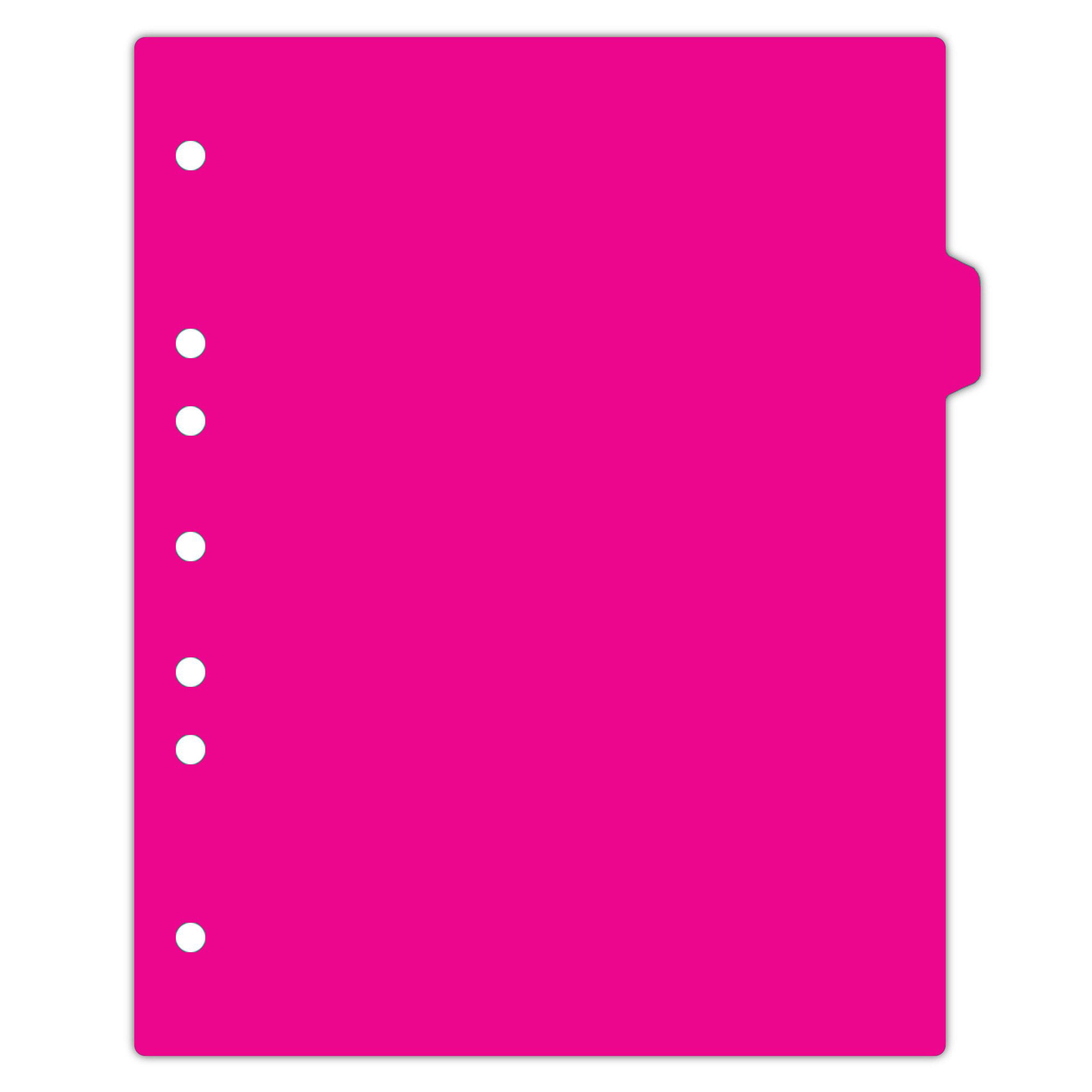 Heavy Duty Blank Plastic Ring Binder Divider Tabs, Side Tab, 1/9 Cut