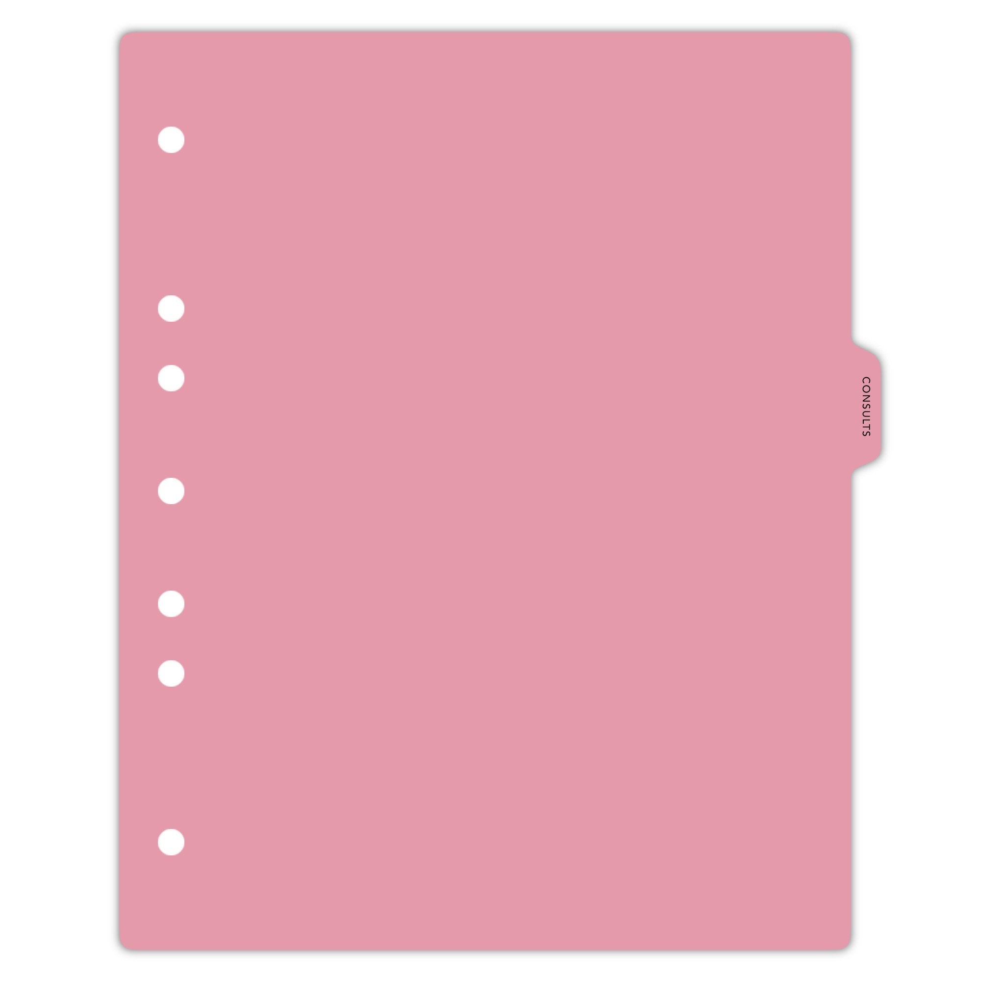 Heavy Duty Plastic Medical Chart Divider Tabs, Side Tab, 1/9 Cut, Tab 4 Position