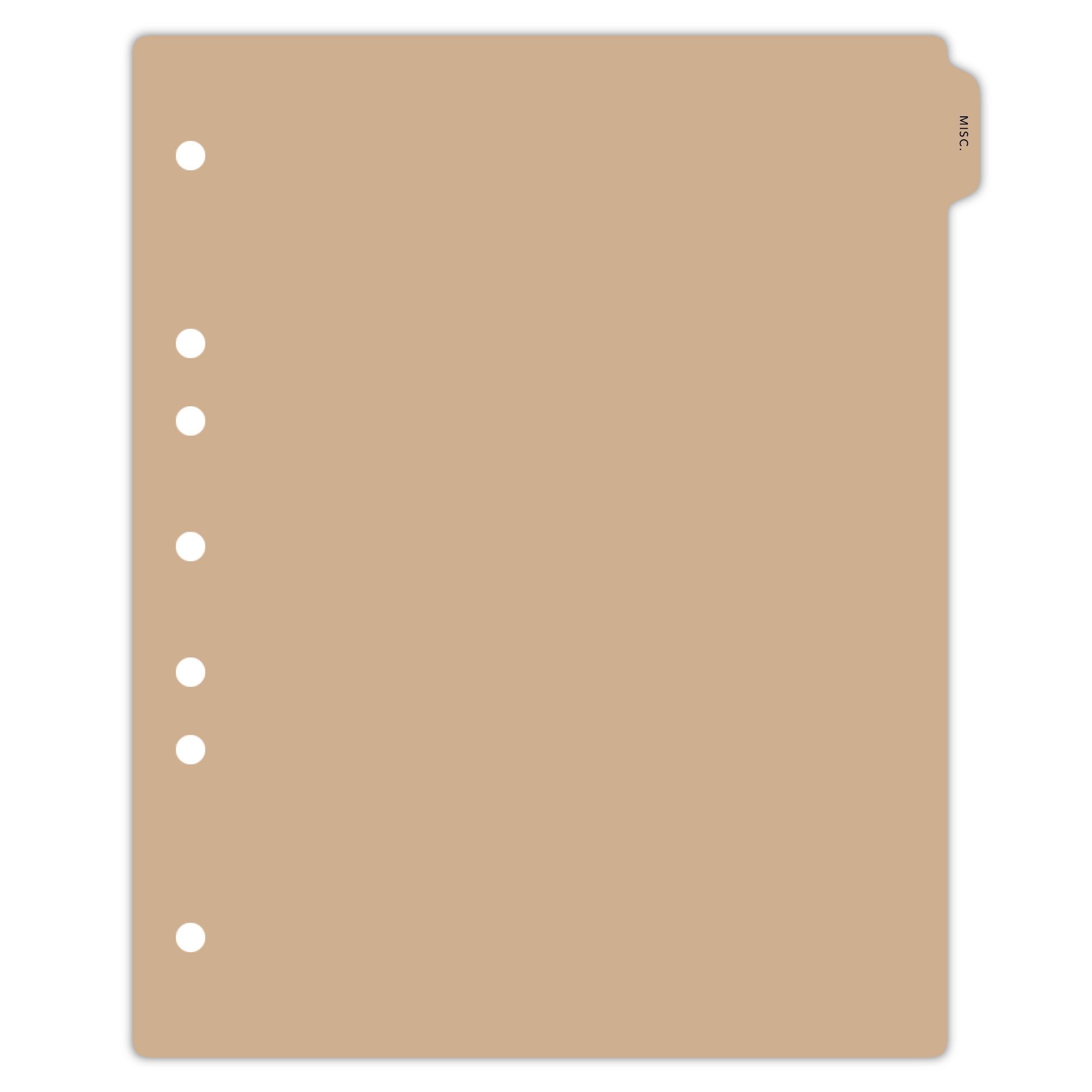 Heavy Duty Plastic Medical Chart Divider Tabs, Side Tab, 1/9 Cut, Tab 1 Position