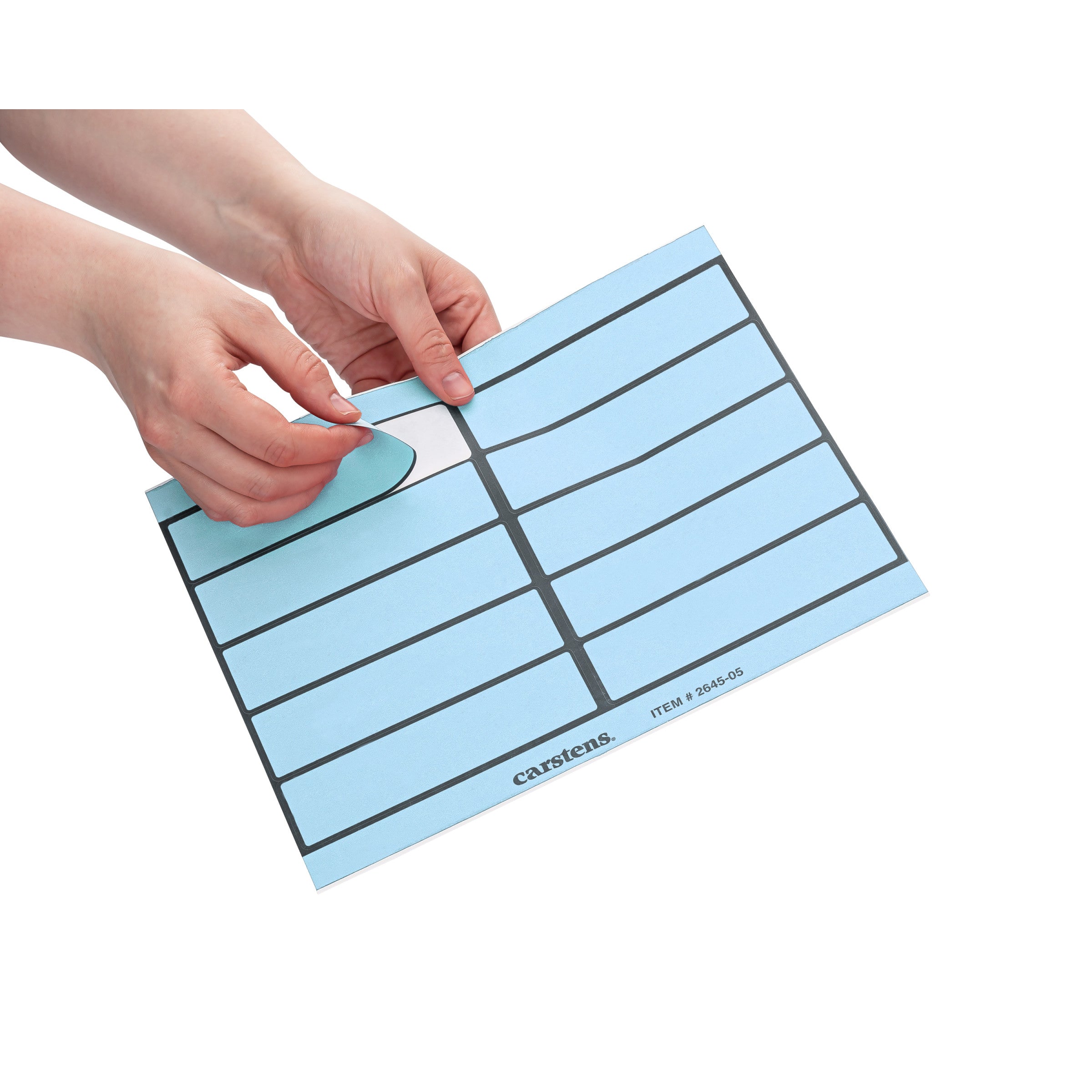 Blank Label Sheets