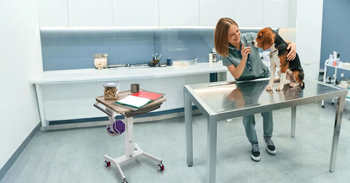 The Benefits of Portable Workstations in Veterinary Practice