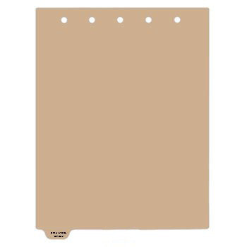 Heavy Duty Plastic Medical Chart Divider Tabs, Bottom Tab, 1/9 Cut, Tab 1 Position