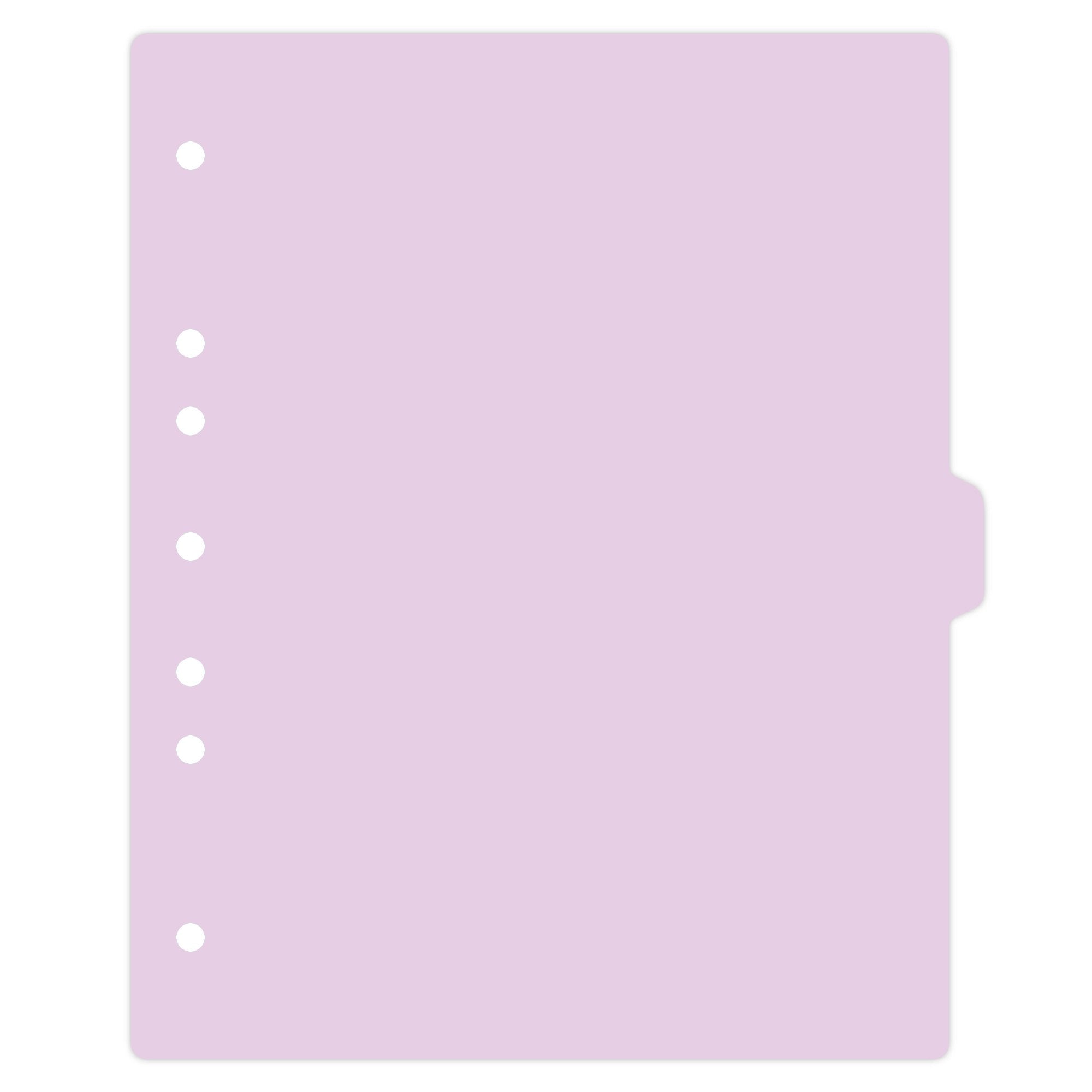 Heavy Duty Blank Plastic Ring Binder Divider Tabs, Side Tab, 1/9 Cut