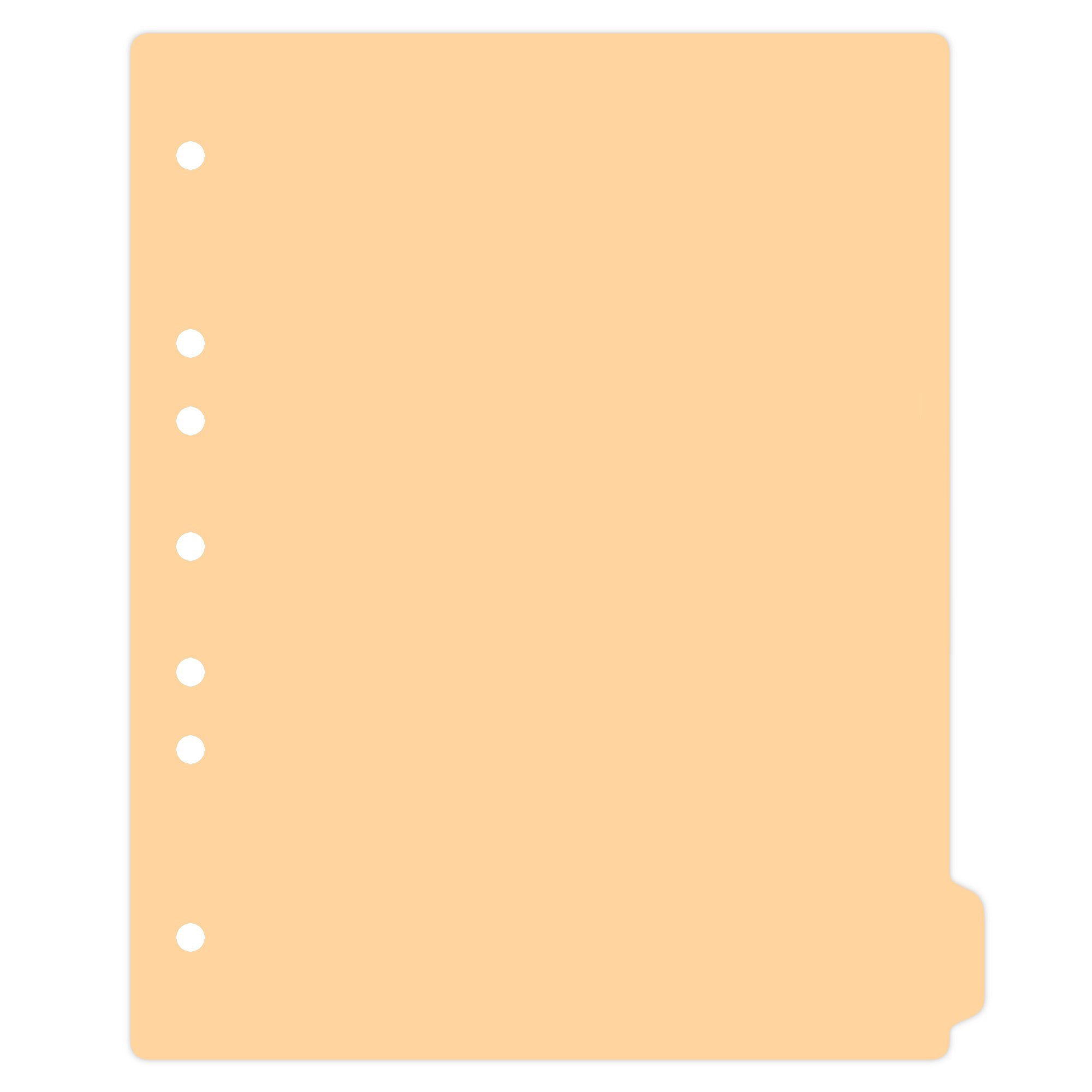 Heavy Duty Blank Plastic Ring Binder Divider Tabs, Side Tab, 1/9 Cut