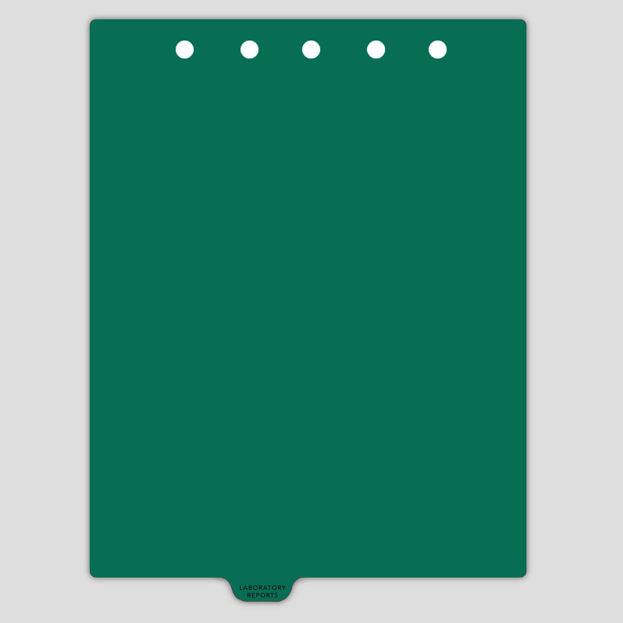 Heavy Duty Plastic Medical Chart Divider Tabs, Bottom Tab, 1/9 Cut, Tab 4 Position