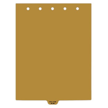 Heavy Duty Plastic Medical Chart Divider Tabs, Bottom Tab, 1/9 Cut, Tab 6 Position