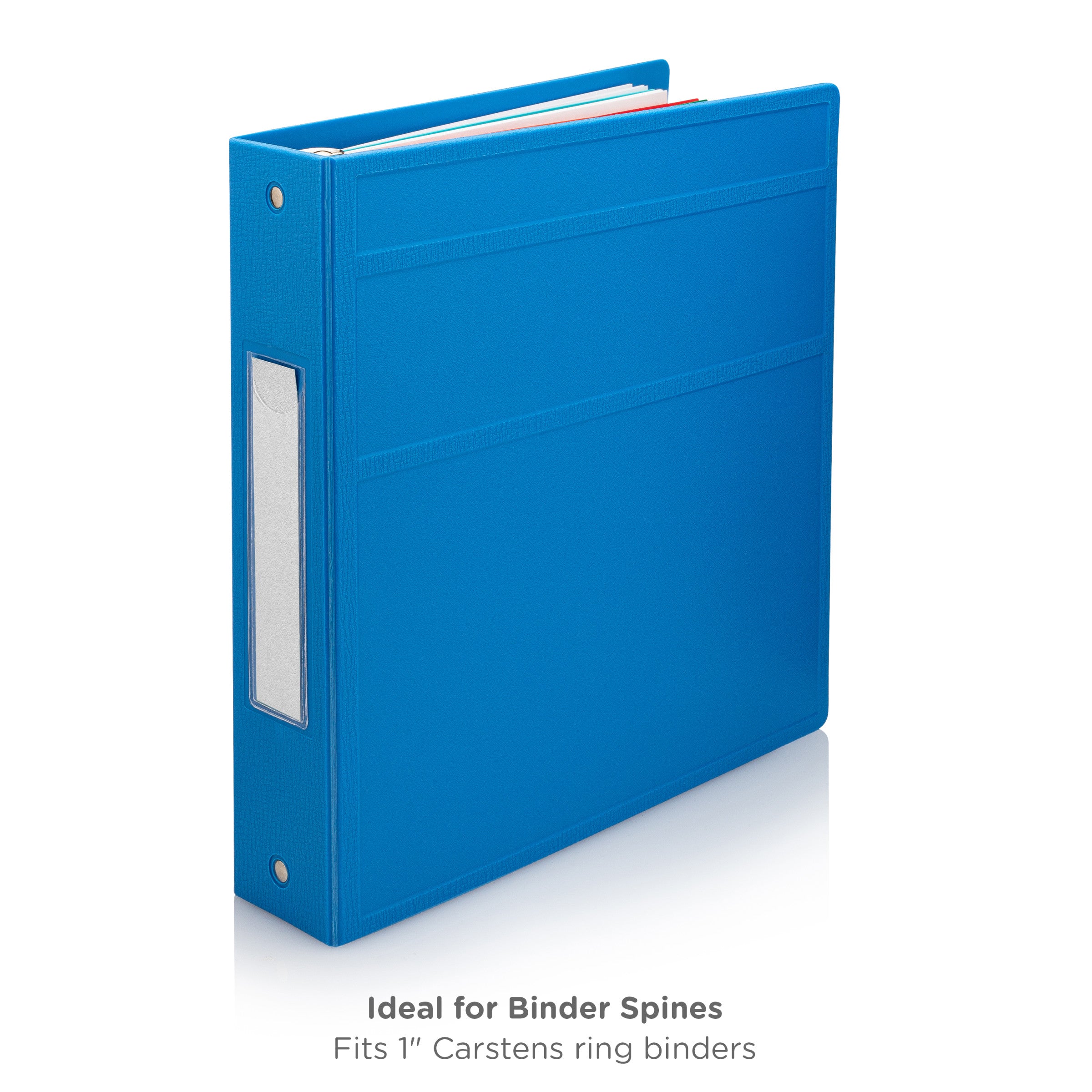 Blank ID Cards for 1" Ring Binder Spines – Pack of 100