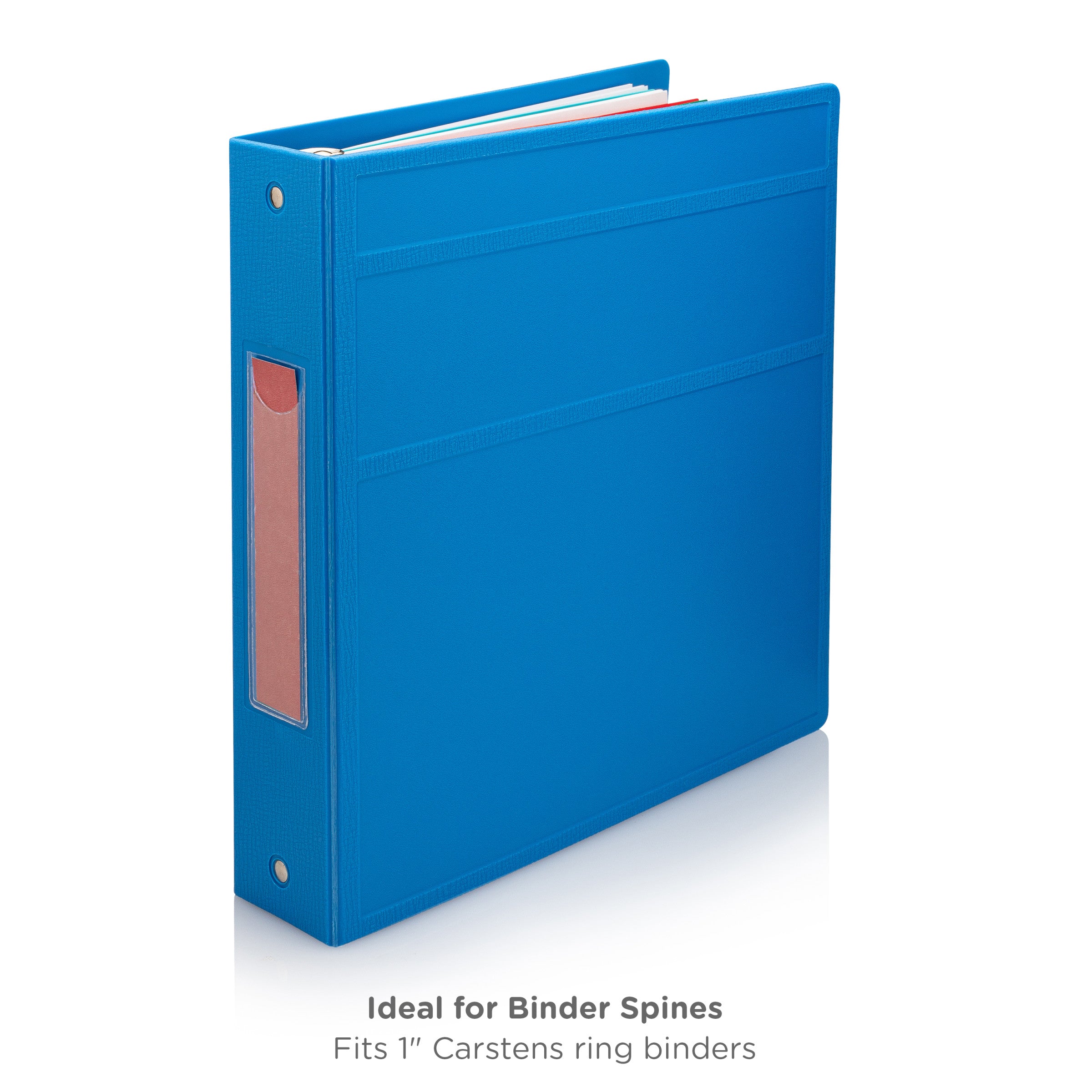 Blank ID Cards for 1" Ring Binder Spines – Pack of 100